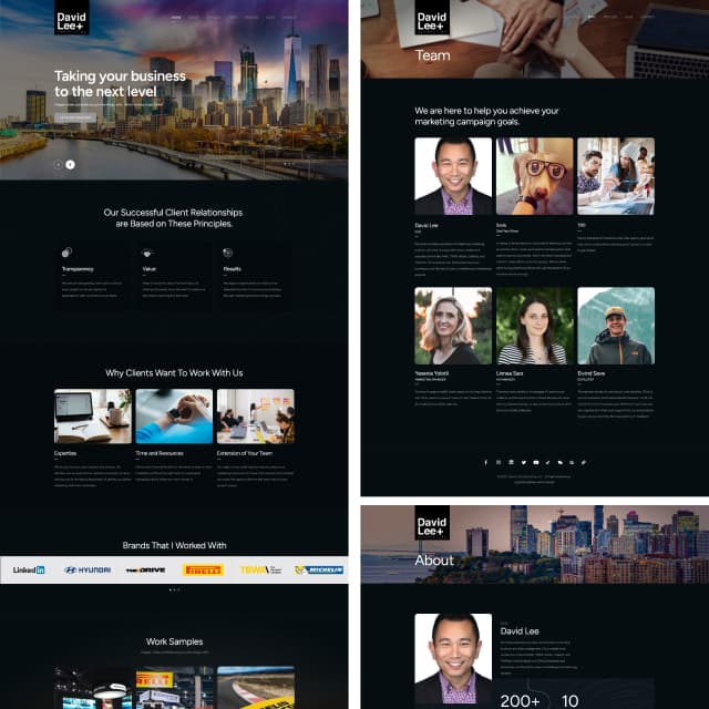 David Lee Consulting screenshot